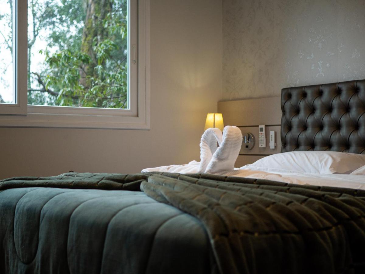 2 Suite, 1 Dormitorio Em Meio A Mata Araucaria A 1,5 Km Centro, Altos De 그라마도 외부 사진